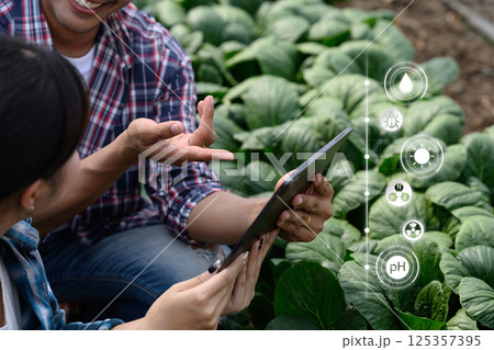 Two farmers analyzing crop data on digital tablet in a vegetable field Two farmers analyzing crop data on digital tablet in a vegetable field 125357395