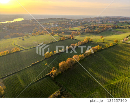 France, Gironde, Tabanac, Aerial view of the vineyard and wooded areas of Chateau le Pic in the 125357560