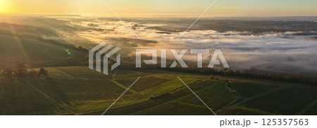 France, Gironde, Langoiran, Aerial view of Premieres Cotes de Bordeaux vineyard in Entre-Deux-Mers France, Gironde, Langoiran, Aerial view of Premieres Cotes de Bordeaux vineyard in Entre-Deux-Mers 125357563