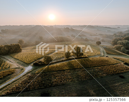 Sunset landscape bordeaux wineyard france, europe Nature Sunset landscape bordeaux wineyard france, europe Nature 125357566