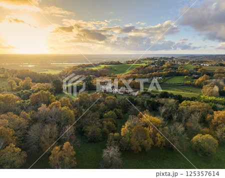 France, Gironde, Tabanac, Aerial view of the vineyard and wooded areas of Chateau le Pic in the France, Gironde, Tabanac, Aerial view of the vineyard and wooded areas of Chateau le Pic in the 125357614