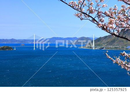 【愛媛県】桜咲く春の伯方島開山公園と多々羅大橋(しまなみ海道) 【愛媛県】桜咲く春の伯方島開山公園と多々羅大橋(しまなみ海道) 125357925