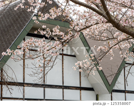 桜が咲くグリーンヒル郷原 125358007