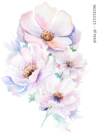 Watercolor pink peony flowers bouquet with leaves, pastel romantic wedding isolated illustration 125358396