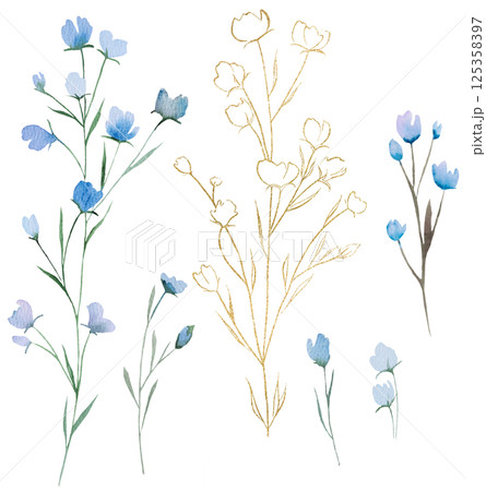 Watercolor blue and golden wildflower isolated illustration, wedding element 125358397