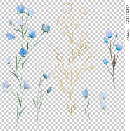 Watercolor blue and golden wildflower isolated illustration, wedding element 125358397