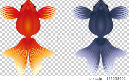Realistic goldfish illustration 125358492