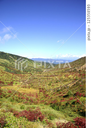 長野県志賀高原の山田峠から望むナナカマドの紅葉 長野県志賀高原の山田峠から望むナナカマドの紅葉 125358593