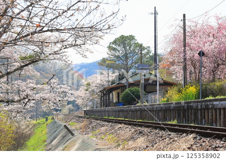 水郡線「春爛漫4月中旬の矢祭山駅風景」 125358902