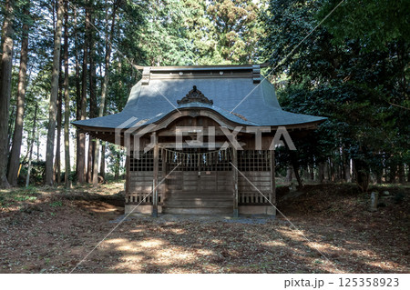 木漏れ日が注ぐ春の土浦市下坂田にある香取神社社殿拝殿 木漏れ日が注ぐ春の土浦市下坂田にある香取神社社殿拝殿 125358923
