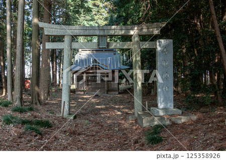 木漏れ日が注ぐ春の土浦市下坂田にある香取神社鳥居と石碑 木漏れ日が注ぐ春の土浦市下坂田にある香取神社鳥居と石碑 125358926