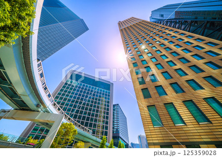 日本の東京都市景観 Wダイヤモンドの珍景…汐留のビル群やゆりかもめなどを望む（連続Pあり） 125359028