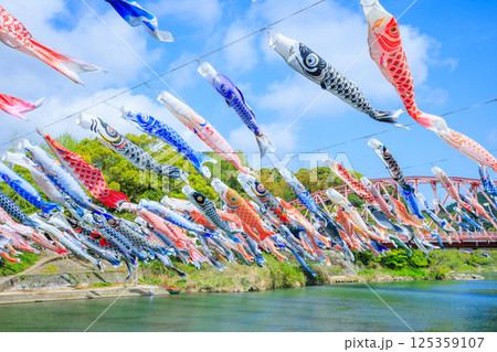 春の川上峡 鯉のぼり 佐賀県佐賀市 春の川上峡 鯉のぼり 佐賀県佐賀市 125359107