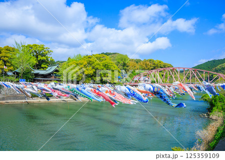 春の川上峡　鯉のぼり　佐賀県佐賀市 125359109