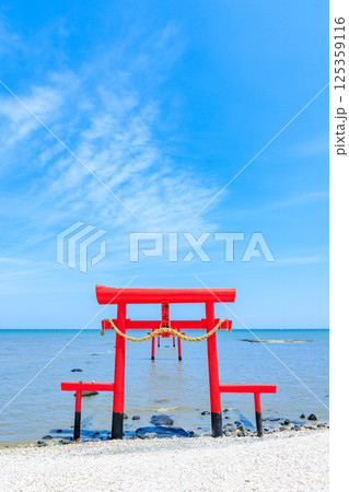 満潮時の大魚神社の海中鳥居　佐賀県太良町 125359116