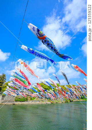 春の川上峡　鯉のぼり　佐賀県佐賀市 125359122
