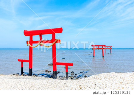満潮時の大魚神社の海中鳥居　佐賀県太良町 125359135