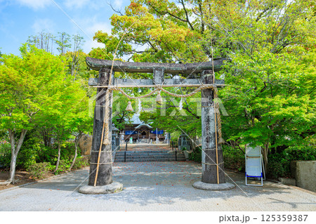 春の與止日女神社 佐賀県佐賀市 春の與止日女神社 佐賀県佐賀市 125359387