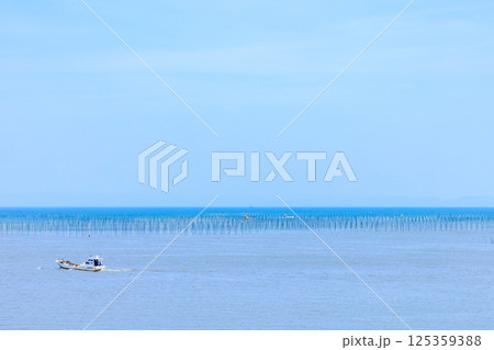 春の有明海　のり養殖　佐賀県太良町 125359388