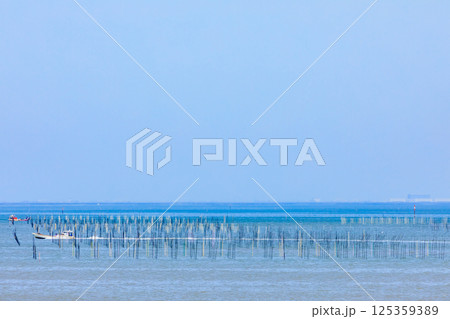 春の有明海　のり養殖　佐賀県太良町 125359389