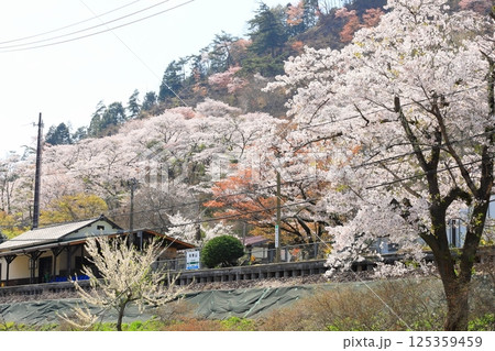 水郡線「春爛漫4月中旬の矢祭山駅風景」 125359459