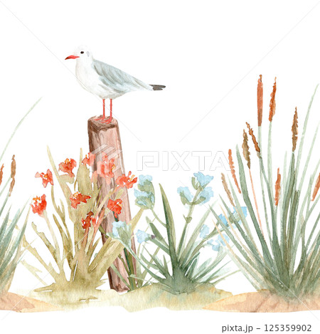 Wild grass, seagull standing on a pole watercolor seamless border isolated on white. Hand painted eco design. Clipart perfect for cards, banners, textile, book design, stationary decor. Sea side Wild grass, seagull standing on a pole watercolor seamless border isolated on white. Hand painted eco design. Clipart perfect for cards, banners, textile, book design, stationary decor. Sea side 125359902