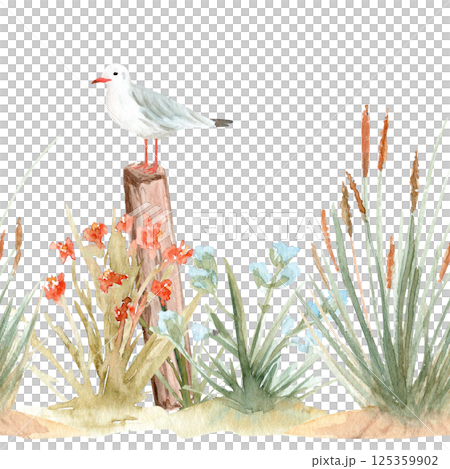 Wild grass, seagull standing on a pole watercolor seamless border isolated on white. Hand painted eco design. Clipart perfect for cards, banners, textile, book design, stationary decor. Sea side Wild grass, seagull standing on a pole watercolor seamless border isolated on white. Hand painted eco design. Clipart perfect for cards, banners, textile, book design, stationary decor. Sea side 125359902