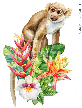Monkey with tropical flowers and jungle leaves. Exotic primate illustration isolated white. Watercolor African wild art 125360191