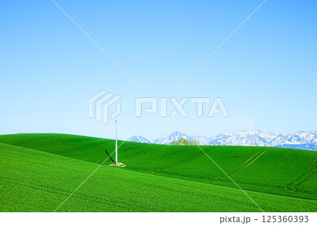 北海道美瑛町から上富良野町あたりの雄大な初夏の風景 125360393