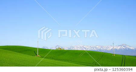 北海道美瑛町から上富良野町あたりの雄大な初夏の風景 125360394