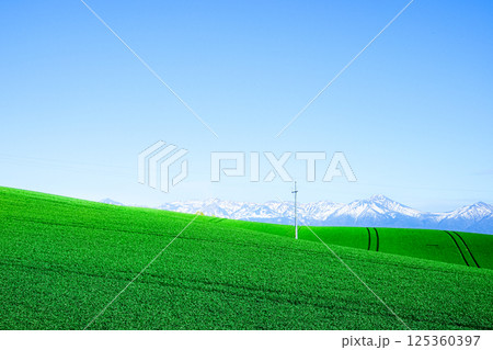 北海道美瑛町から上富良野町あたりの雄大な初夏の風景 125360397