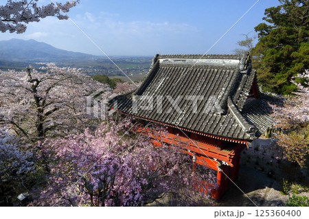 ロマンチック茨城(雨引山より見下ろす奥に筑波山、手前は見事な桜に囲まれ堂々と構える仁王門。)雨引観音 ロマンチック茨城(雨引山より見下ろす奥に筑波山、手前は見事な桜に囲まれ堂々と構える仁王門。)雨引観音 125360400