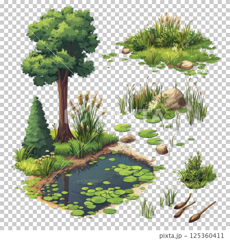 Set wetland biome elements, featuring reeds, marshy pools, and cypress trees, isolated on white 125360411