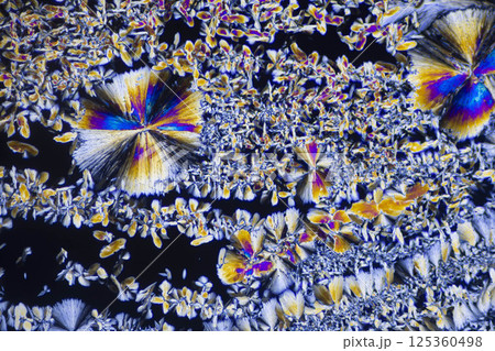 味の素 味の素 125360498