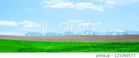 風薫る初夏の北海道らしい風景 風薫る初夏の北海道らしい風景 125360577