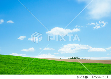 風薫る初夏の北海道らしい風景 風薫る初夏の北海道らしい風景 125360581