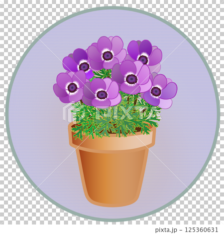 具有圓形背景的海葵插圖 125360631