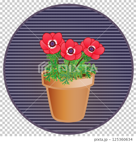 円形背景のついたアネモネのイラスト 125360634