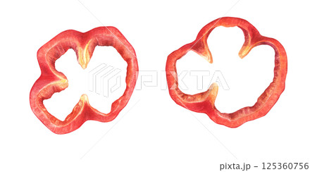 Red bell pepper rings set watercolor illustration isolated background. Paprika or Bulgarian pepper chopped pieces. Garden vegetable ingredient for packaging, recipe blogs, menu, organic food art Red bell pepper rings set watercolor illustration isolated background. Paprika or Bulgarian pepper chopped pieces. Garden vegetable ingredient for packaging, recipe blogs, menu, organic food art 125360756