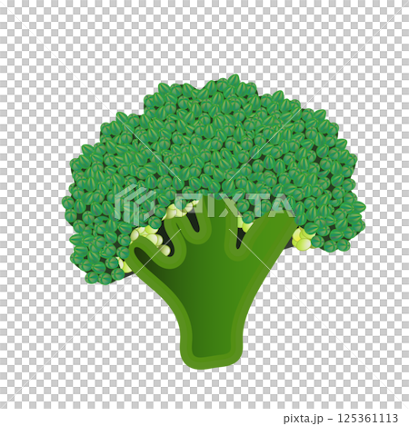 ブロッコリーの小房のイラスト 125361113