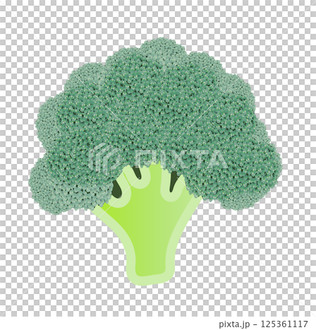 西蘭花的插圖 125361117