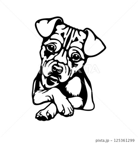 Chihuahua Dog Breed - Pet Vector Cut file, Dog Silhouette Stencil - Cricut file 125361299