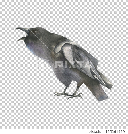 Black raven watercolor illustration. Crow bird isolated clipart, wild bird,symbol of death painting for Halloween,gothic,scary poster, card,invitation design 125361439