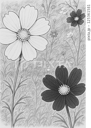 コスモスのある風景 〜16のアートスタイルで綴る花の表情〜 125361581