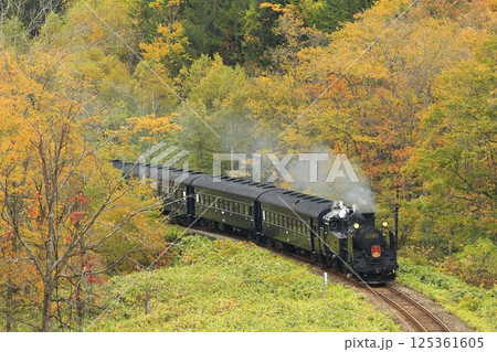 紅葉の函館本線 125361605
