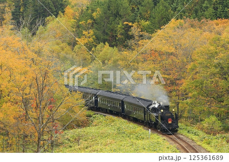紅葉の函館本線 125361689