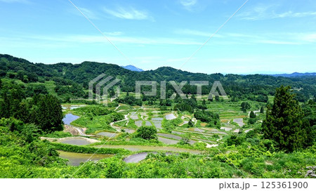 星峠の棚田 125361900