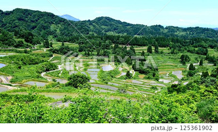 星峠の棚田 125361902