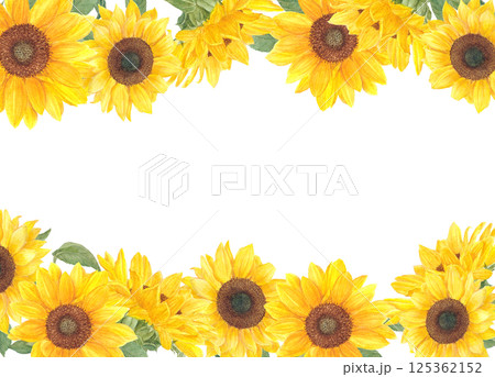 透明水彩で描いたひまわりの花の背景フレーム素材 125362152