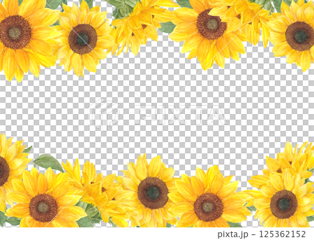 透明水彩で描いたひまわりの花の背景フレーム素材 125362152